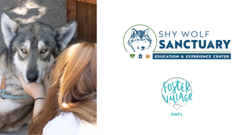 Healing Hearts Experience at Shy Wolf Sanctuary